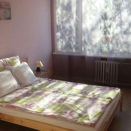 Cosy Place Close To The Center 索菲亞 外观 照片